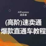 高阶速卖通直通车视频教程,教你正确解锁直通车,拒绝无效烧钱-我创创业-副业网-网络创业-资源分享-网课资源-学习教程-学知识-自媒体-抖音-视频号-小红书-网络项目,赚钱软件,副业,兼职,学生赚,挂机赚-我创创业-副业网-5ccy.cn