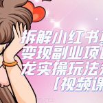 拆解小红书真人漫改变现副业项目,一条龙实操玩法分享给你【视频课程】-我创创业-副业网-网络创业-资源分享-网课资源-学习教程-学知识-自媒体-抖音-视频号-小红书-网络项目,赚钱软件,副业,兼职,学生赚,挂机赚-我创创业-副业网-5ccy.cn