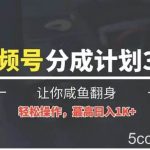 24年视频号冷门蓝海赛道，操作简单，单号收益可达四位数-我创创业-副业网-网络创业-资源分享-网课资源-学习教程-学知识-自媒体-抖音-视频号-小红书-网络项目,赚钱软件,副业,兼职,学生赚,挂机赚-我创创业-副业网-5ccy.cn