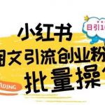 最新小红书批量图文引流技术,日引100+创业粉【揭秘】-我创创业-副业网-网络创业-资源分享-网课资源-学习教程-学知识-自媒体-抖音-视频号-小红书-网络项目,赚钱软件,副业,兼职,学生赚,挂机赚-我创创业-副业网-5ccy.cn