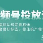 （10205期）视频号投放课：投放基础认知完善疏通，快速建模打标签，稳住投产稳住账号-我创创业-副业网-网络创业-资源分享-网课资源-学习教程-学知识-自媒体-抖音-视频号-小红书-网络项目,赚钱软件,副业,兼职,学生赚,挂机赚-我创创业-副业网-5ccy.cn