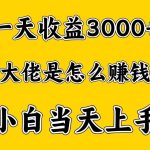 一天赚3000多,大佬是这样赚到钱的,小白当天上手,穷人翻身项目-我创创业-副业网-网络创业-资源分享-网课资源-学习教程-学知识-自媒体-抖音-视频号-小红书-网络项目,赚钱软件,副业,兼职,学生赚,挂机赚-我创创业-副业网-5ccy.cn