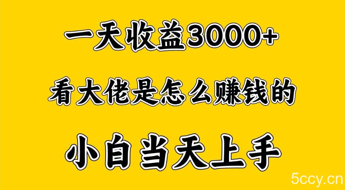 一天赚3000多，大佬是这样赚到钱的，小白当天上手，穷人翻身项目-我创创业-副业网-网络创业-资源分享-网课资源-学习教程-学知识-自媒体-抖音-视频号-小红书-网络项目,赚钱软件,副业,兼职,学生赚,挂机赚-我创创业-副业网-5ccy.cn