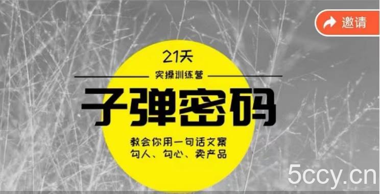 《子弹密码训练营》-用一句话文案勾人勾心卖产品，21天学到顶尖文案大师策略和技巧-我创创业-副业网-网络创业-资源分享-网课资源-学习教程-学知识-自媒体-抖音-视频号-小红书-网络项目,赚钱软件,副业,兼职,学生赚,挂机赚-我创创业-副业网-5ccy.cn