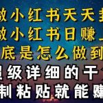都知道小红书能引流私域变现,可为什么我能一天引流几十人变现上千,但你却频频封号违规被限流【揭秘】-我创创业-副业网-网络创业-资源分享-网课资源-学习教程-学知识-自媒体-抖音-视频号-小红书-网络项目,赚钱软件,副业,兼职,学生赚,挂机赚-我创创业-副业网-5ccy.cn