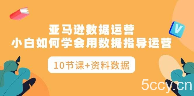 (10158期)亚马逊数据运营,小白如何学会用数据指导运营(10节课+资料数据)