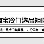 (10159期)淘宝冷门选品矩阵玩法:换种玩法,选一些冷门类目品,去分平台一点羹-我创创业-副业网-网络创业-资源分享-网课资源-学习教程-学知识-自媒体-抖音-视频号-小红书-网络项目,赚钱软件,副业,兼职,学生赚,挂机赚-我创创业-副业网-5ccy.cn