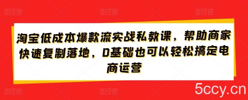 淘宝低成本爆款流实战私教课,帮助商家快速复制落地,0基础也可以轻松搞定电商运营