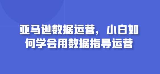 亚马逊数据运营，小白如何学会用数据指导运营-我创创业-副业网-网络创业-资源分享-网课资源-学习教程-学知识-自媒体-抖音-视频号-小红书-网络项目,赚钱软件,副业,兼职,学生赚,挂机赚-我创创业-副业网-5ccy.cn