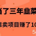 (10149期)当了3年韭菜,我靠卖项目赚了100万-我创创业-副业网-网络创业-资源分享-网课资源-学习教程-学知识-自媒体-抖音-视频号-小红书-网络项目,赚钱软件,副业,兼职,学生赚,挂机赚-我创创业-副业网-5ccy.cn