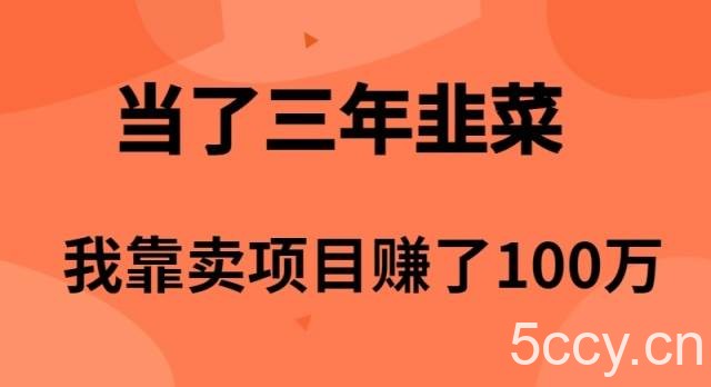 (10149期)当了3年韭菜,我靠卖项目赚了100万