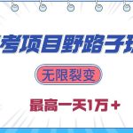 (10150期)2024高考项目野路子玩法,无限裂变,最高一天1W+!-我创创业-副业网-网络创业-资源分享-网课资源-学习教程-学知识-自媒体-抖音-视频号-小红书-网络项目,赚钱软件,副业,兼职,学生赚,挂机赚-我创创业-副业网-5ccy.cn