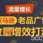 流量增长 亚马逊老品广告放量增效打法,短期内广告销量翻倍-我创创业-副业网-网络创业-资源分享-网课资源-学习教程-学知识-自媒体-抖音-视频号-小红书-网络项目,赚钱软件,副业,兼职,学生赚,挂机赚-我创创业-副业网-5ccy.cn