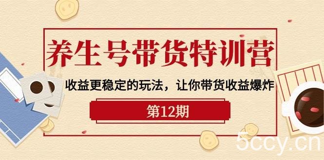 （10110期）养生号带货特训营【12期】收益更稳定的玩法，让你带货收益爆炸-9节直播课-我创创业-副业网-网络创业-资源分享-网课资源-学习教程-学知识-自媒体-抖音-视频号-小红书-网络项目,赚钱软件,副业,兼职,学生赚,挂机赚-我创创业-副业网-5ccy.cn