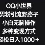 QQ小世界男粉引流野路子,小白无脑操作,多种变现方式轻松日入1000+-我创创业-副业网-网络创业-资源分享-网课资源-学习教程-学知识-自媒体-抖音-视频号-小红书-网络项目,赚钱软件,副业,兼职,学生赚,挂机赚-我创创业-副业网-5ccy.cn