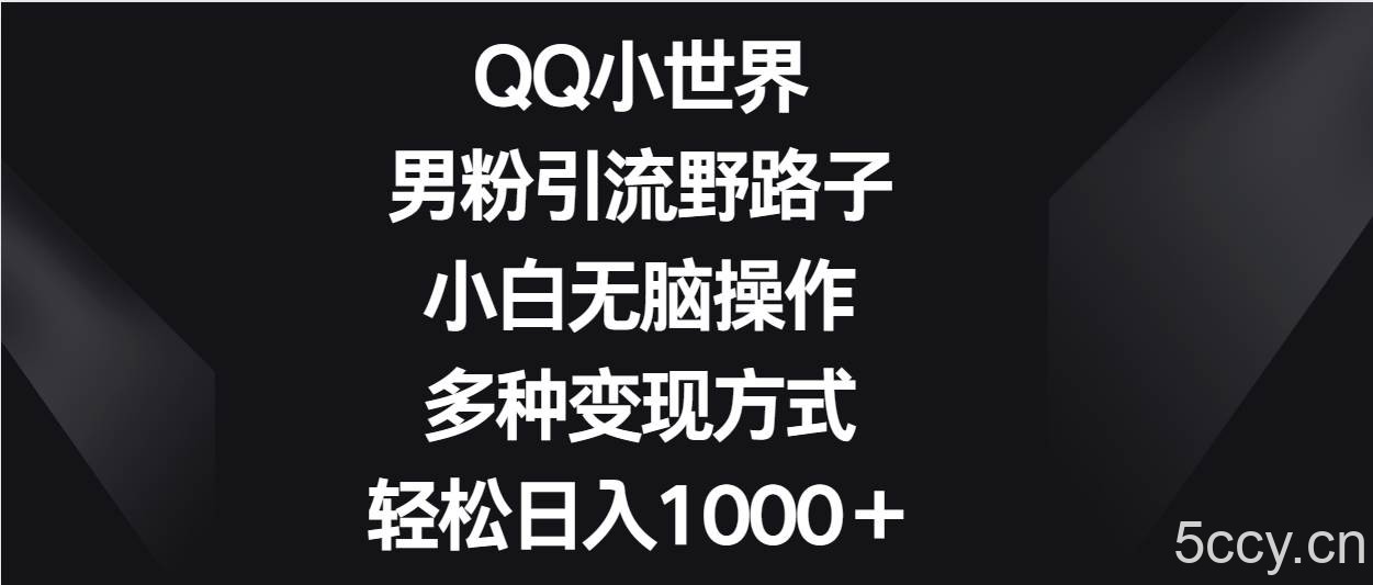 QQ小世界男粉引流野路子,小白无脑操作,多种变现方式轻松日入1000+