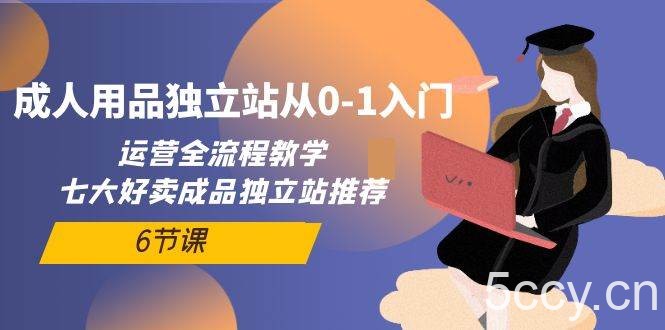 (10082期)成人用品独立站从0-1入门,运营全流程教学,七大好卖成品独立站推荐-6节课
