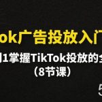 （10085期）TikTok广告投放入门教程，从0到1掌握TikTok投放的全流程（8节课）-我创创业-副业网-网络创业-资源分享-网课资源-学习教程-学知识-自媒体-抖音-视频号-小红书-网络项目,赚钱软件,副业,兼职,学生赚,挂机赚-我创创业-副业网-5ccy.cn