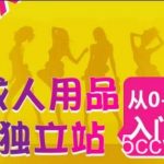 成人用品独立站从0-1入门,成品独立站运营全流程教学,七大好卖成品独立站推荐-我创创业-副业网-网络创业-资源分享-网课资源-学习教程-学知识-自媒体-抖音-视频号-小红书-网络项目,赚钱软件,副业,兼职,学生赚,挂机赚-我创创业-副业网-5ccy.cn