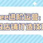 Shopee进阶运营:百万级店铺打造技巧-我创创业-副业网-网络创业-资源分享-网课资源-学习教程-学知识-自媒体-抖音-视频号-小红书-网络项目,赚钱软件,副业,兼职,学生赚,挂机赚-我创创业-副业网-5ccy.cn