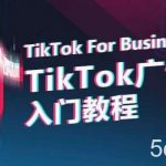 TikTok广告入门教程,从0到1掌握TikTok投放的全流程-我创创业-副业网-网络创业-资源分享-网课资源-学习教程-学知识-自媒体-抖音-视频号-小红书-网络项目,赚钱软件,副业,兼职,学生赚,挂机赚-我创创业-副业网-5ccy.cn
