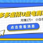 拼多多虚拟U盘电商红利项目：月赚2万+，新手小白也能玩-我创创业-副业网-网络创业-资源分享-网课资源-学习教程-学知识-自媒体-抖音-视频号-小红书-网络项目,赚钱软件,副业,兼职,学生赚,挂机赚-我创创业-副业网-5ccy.cn