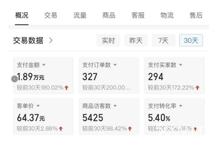 拼多多虚拟U盘电商红利项目：月赚2万+，新手小白也能玩