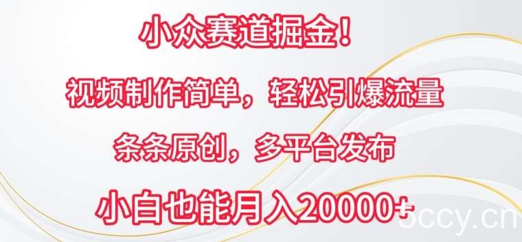 小众赛道掘金，视频制作简单，轻松引爆流量，条条原创，多平台发布【揭秘】-我创创业-副业网-网络创业-资源分享-网课资源-学习教程-学知识-自媒体-抖音-视频号-小红书-网络项目,赚钱软件,副业,兼职,学生赚,挂机赚-我创创业-副业网-5ccy.cn
