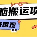 小红书虚拟项目，无脑搬运，零成本零门槛轻松月入3000+【视频教程+配套工具】-我创创业-副业网-网络创业-资源分享-网课资源-学习教程-学知识-自媒体-抖音-视频号-小红书-网络项目,赚钱软件,副业,兼职,学生赚,挂机赚-我创创业-副业网-5ccy.cn