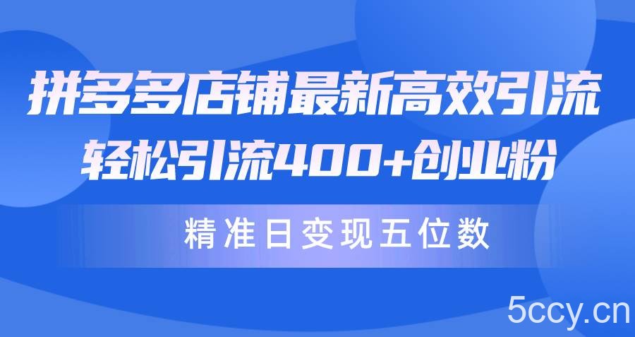 （10041期）拼多多店铺最新高效引流术，轻松引流400+创业粉，精准日变现五位数！-我创创业-副业网-网络创业-资源分享-网课资源-学习教程-学知识-自媒体-抖音-视频号-小红书-网络项目,赚钱软件,副业,兼职,学生赚,挂机赚-我创创业-副业网-5ccy.cn