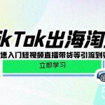 （10035期）TikTok-出海淘金，新手0-1快速入门短视频直播带货等引流到变现的知识-我创创业-副业网-网络创业-资源分享-网课资源-学习教程-学知识-自媒体-抖音-视频号-小红书-网络项目,赚钱软件,副业,兼职,学生赚,挂机赚-我创创业-副业网-5ccy.cn