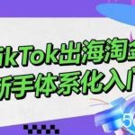 TikTok出海淘金，新手体系化入门，零基础快速入门，掌握短视频、直播带货等引流到变现的知识-我创创业-副业网-网络创业-资源分享-网课资源-学习教程-学知识-自媒体-抖音-视频号-小红书-网络项目,赚钱软件,副业,兼职,学生赚,挂机赚-我创创业-副业网-5ccy.cn