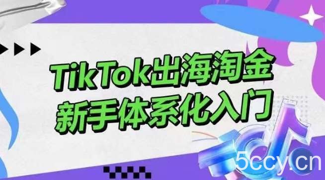 TikTok出海淘金，新手体系化入门，零基础快速入门，掌握短视频、直播带货等引流到变现的知识-我创创业-副业网-网络创业-资源分享-网课资源-学习教程-学知识-自媒体-抖音-视频号-小红书-网络项目,赚钱软件,副业,兼职,学生赚,挂机赚-我创创业-副业网-5ccy.cn