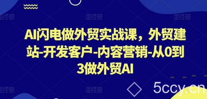AI闪电做外贸实战课,外贸建站-开发客户-内容营销-从0到3做外贸AI