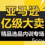 亚马逊亿级大卖-精品选品内训专场，亿级卖家分享选品成功之道-我创创业-副业网-网络创业-资源分享-网课资源-学习教程-学知识-自媒体-抖音-视频号-小红书-网络项目,赚钱软件,副业,兼职,学生赚,挂机赚-我创创业-副业网-5ccy.cn
