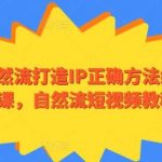 自然流打造IP正确方法线上课，自然流短视频教程-我创创业-副业网-网络创业-资源分享-网课资源-学习教程-学知识-自媒体-抖音-视频号-小红书-网络项目,赚钱软件,副业,兼职,学生赚,挂机赚-我创创业-副业网-5ccy.cn