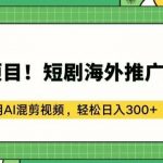 蓝海项目!短剧海外推广赚美金，利用AI混剪视频，轻松日入300+【揭秘】-我创创业-副业网-网络创业-资源分享-网课资源-学习教程-学知识-自媒体-抖音-视频号-小红书-网络项目,赚钱软件,副业,兼职,学生赚,挂机赚-我创创业-副业网-5ccy.cn
