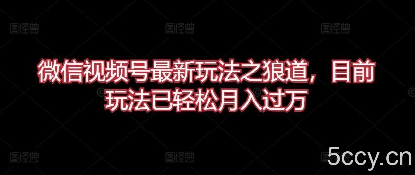 微信视频号最新玩法之狼道，目前玩法已轻松月入过万【揭秘】-我创创业-副业网-网络创业-资源分享-网课资源-学习教程-学知识-自媒体-抖音-视频号-小红书-网络项目,赚钱软件,副业,兼职,学生赚,挂机赚-我创创业-副业网-5ccy.cn