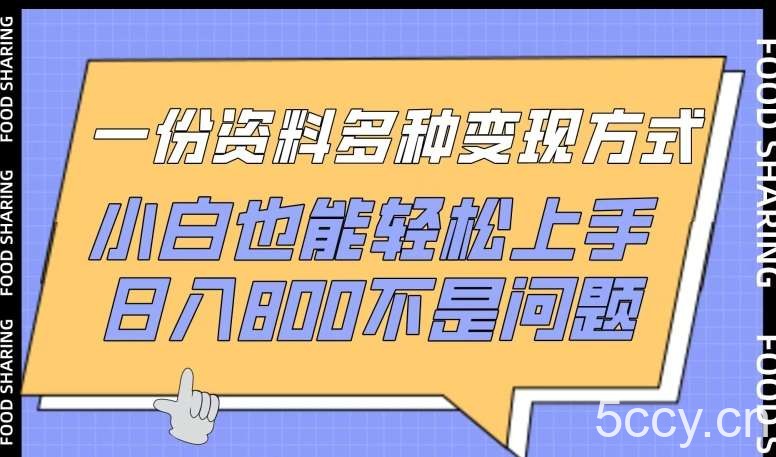 一份资料多种变现方式，小白也能轻松上手，日入800不是问题【揭秘】-我创创业-副业网-网络创业-资源分享-网课资源-学习教程-学知识-自媒体-抖音-视频号-小红书-网络项目,赚钱软件,副业,兼职,学生赚,挂机赚-我创创业-副业网-5ccy.cn