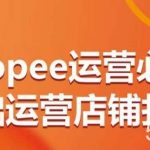 Shopee运营必备基础运营店铺打造，多层次的教你从0-1运营店铺-我创创业-副业网-网络创业-资源分享-网课资源-学习教程-学知识-自媒体-抖音-视频号-小红书-网络项目,赚钱软件,副业,兼职,学生赚,挂机赚-我创创业-副业网-5ccy.cn