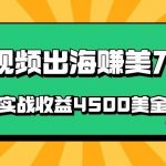 国内爆款视频出海赚美刀，实战收益4500美金，批量无脑搬运，无需经验直接上手-我创创业-副业网-网络创业-资源分享-网课资源-学习教程-学知识-自媒体-抖音-视频号-小红书-网络项目,赚钱软件,副业,兼职,学生赚,挂机赚-我创创业-副业网-5ccy.cn