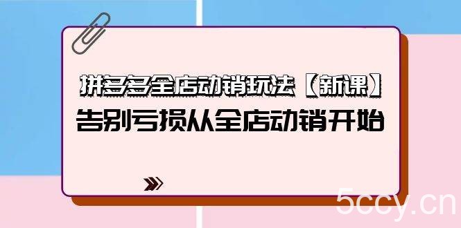 （9974期）拼多多全店动销玩法【新课】，告别亏损从全店动销开始（4节视频课）-我创创业-副业网-网络创业-资源分享-网课资源-学习教程-学知识-自媒体-抖音-视频号-小红书-网络项目,赚钱软件,副业,兼职,学生赚,挂机赚-我创创业-副业网-5ccy.cn