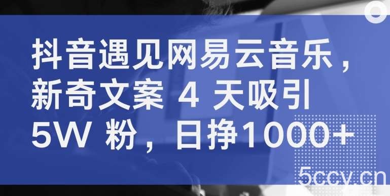 抖音遇见网易云音乐，新奇文案 4 天吸引 5W 粉，日挣1000+【揭秘】-我创创业-副业网-网络创业-资源分享-网课资源-学习教程-学知识-自媒体-抖音-视频号-小红书-网络项目,赚钱软件,副业,兼职,学生赚,挂机赚-我创创业-副业网-5ccy.cn