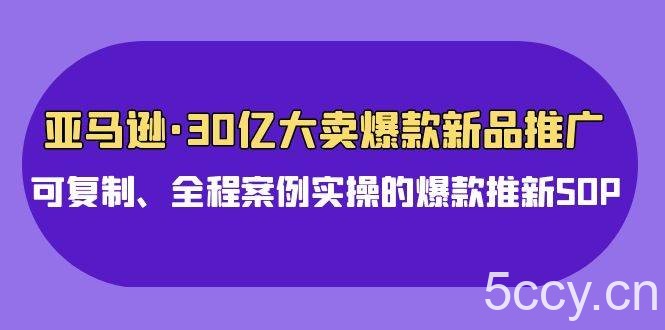 (9944期)亚马逊30亿·大卖爆款新品推广,可复制、全程案例实操的爆款推新SOP