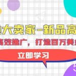 （9945期）亚马逊 大卖家-新品高效推广，分享如何高效推广，打造百万美金爆款单品-我创创业-副业网-网络创业-资源分享-网课资源-学习教程-学知识-自媒体-抖音-视频号-小红书-网络项目,赚钱软件,副业,兼职,学生赚,挂机赚-我创创业-副业网-5ccy.cn
