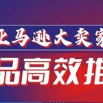 亚马逊大卖家-新品高效推广，分享如何高效推广，打造百万美金爆款单品-我创创业-副业网-网络创业-资源分享-网课资源-学习教程-学知识-自媒体-抖音-视频号-小红书-网络项目,赚钱软件,副业,兼职,学生赚,挂机赚-我创创业-副业网-5ccy.cn