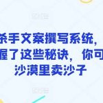 终极杀手文案撰写系统,只要你掌握了这些秘诀,你可以在沙漠里卖沙子-我创创业-副业网-网络创业-资源分享-网课资源-学习教程-学知识-自媒体-抖音-视频号-小红书-网络项目,赚钱软件,副业,兼职,学生赚,挂机赚-我创创业-副业网-5ccy.cn