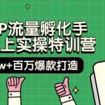 自然IP流量孵化手14天线上实操特训营【第9期】月入5w+百万爆款打造 (74节)-我创创业-副业网-网络创业-资源分享-网课资源-学习教程-学知识-自媒体-抖音-视频号-小红书-网络项目,赚钱软件,副业,兼职,学生赚,挂机赚-我创创业-副业网-5ccy.cn