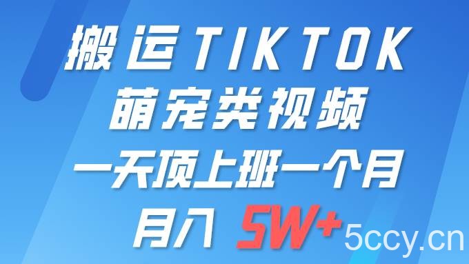 （9931期）一键搬运TIKTOK萌宠类视频 一部手机即可操作 所有平台均可发布 轻松月入5W+-我创创业-副业网-网络创业-资源分享-网课资源-学习教程-学知识-自媒体-抖音-视频号-小红书-网络项目,赚钱软件,副业,兼职,学生赚,挂机赚-我创创业-副业网-5ccy.cn