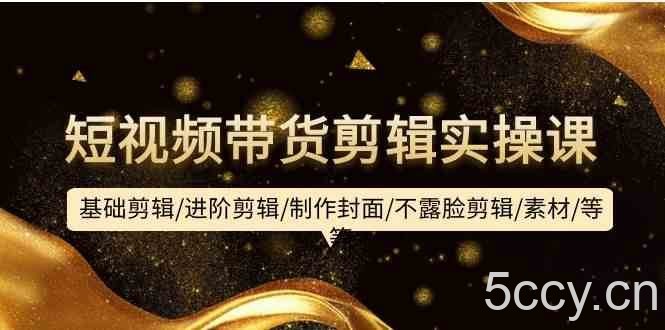 短视频带货剪辑实操课:基础剪辑/进阶剪辑/制作封面/不露脸剪辑/素材/等等